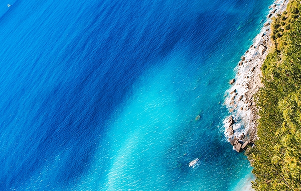 海外智能客服机器人，为国际旅游网站带来显著业务增长