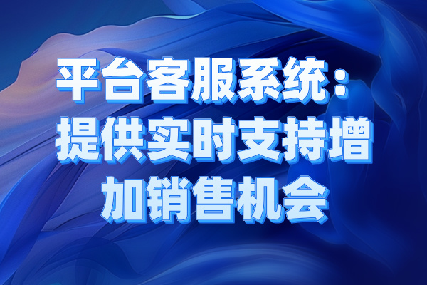 平台客服系统：提供实时支持增加销售机会