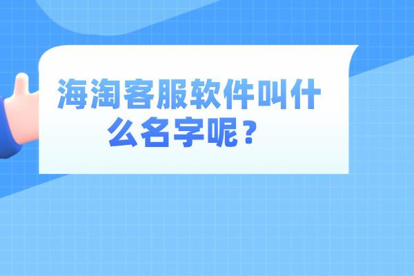 海淘客服软件叫什么名字呢