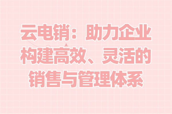 云电销：助力企业构建高效、灵活的销售与管理体系