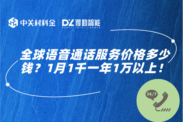 全球语音通话服务价格多少钱？1月1千一年1万以上