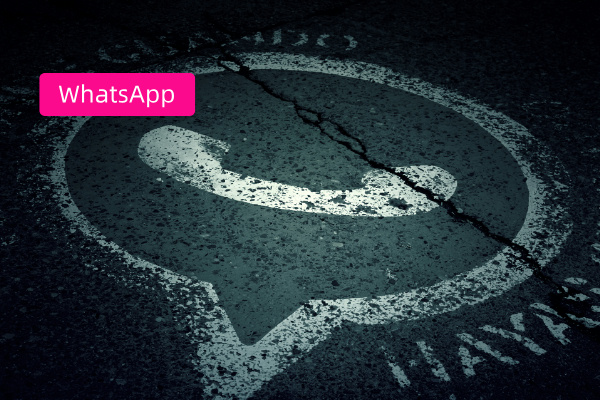 全语种客服系统的WhatsApp营销功能如何用？