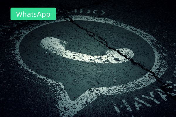 WhatsApp营销功能