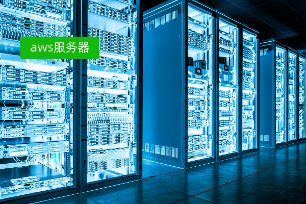 aws云服务器报价多少钱呢？查看2024年价格表
