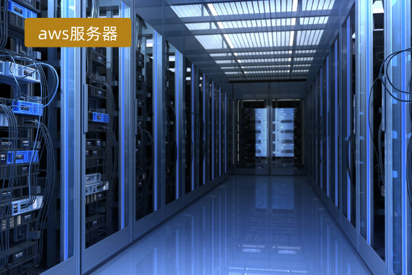 2024年aws云服务器报价多少钱呢？