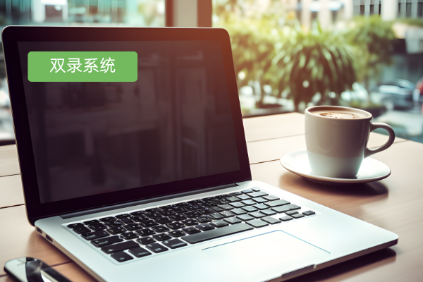 双录合规系统：保险行业的合规利器与未来展望