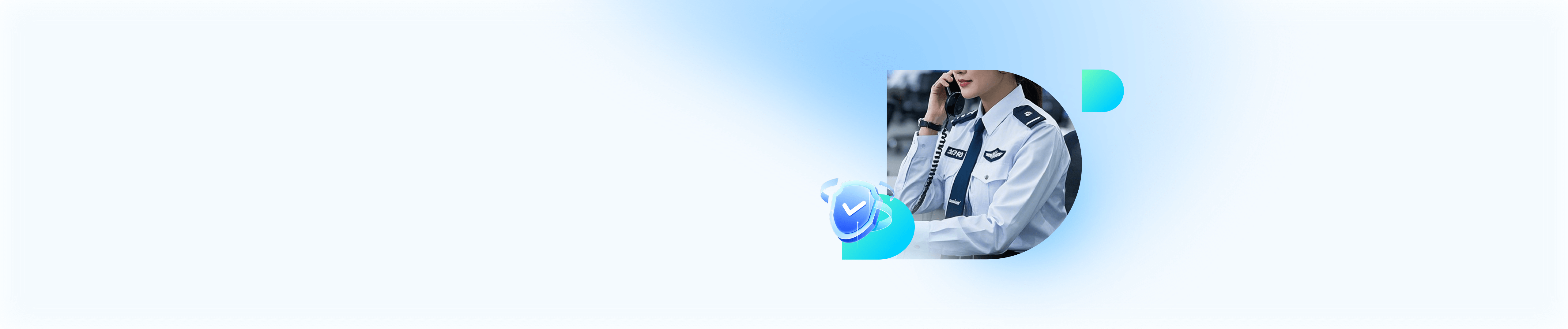 数字督察解决方案