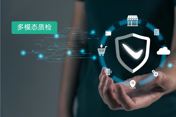 智能质检软件深度解析：功能、定价、选择与实际应用