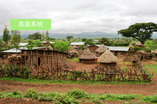得助智能全语种客服系统如何攻克非洲零售客服难关