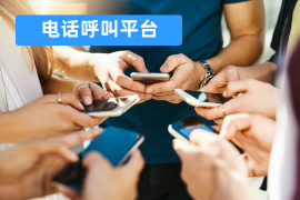 电话呼叫平台