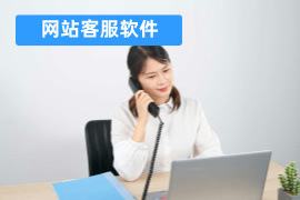 网站客服软件