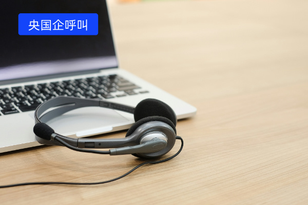 央国企呼叫系统解决方案，