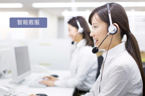 智能客服大模型：定义解析、功能效用与品牌精选