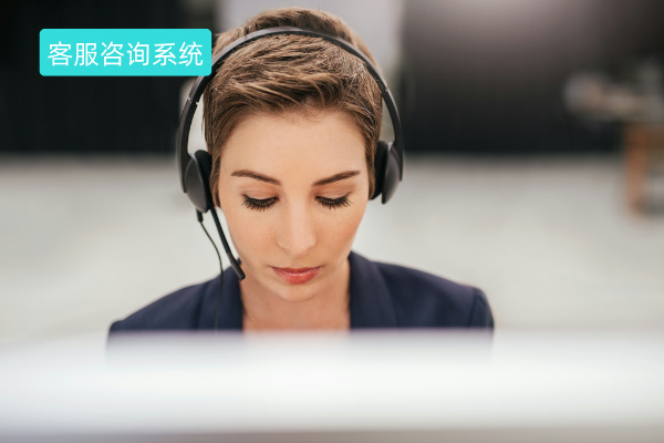客服咨询系统有哪些品牌？哪个好用一点呢？