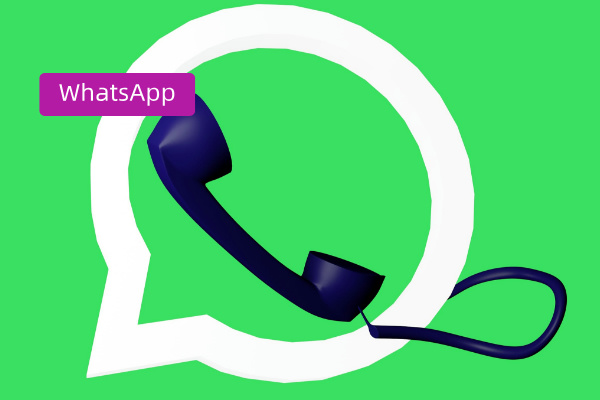 WhatsApp客服系统推荐：得助智能全语种客服系统功能优势