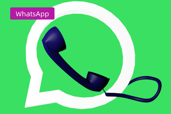 WhatsApp客服系统推荐：得助智能全语种客服系统功能优势