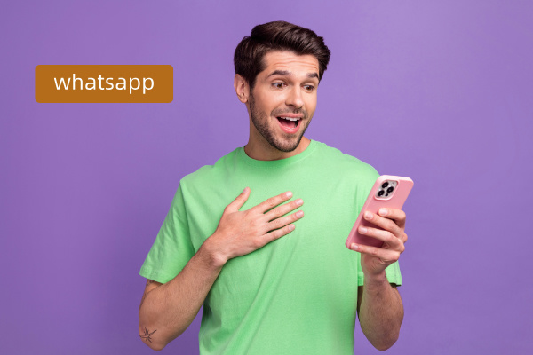 在whatsapp上如何高效寻找国外客户？借助得助智能！