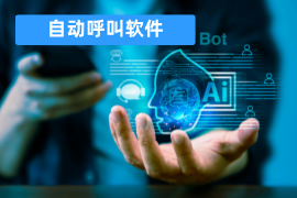 自动呼叫软件