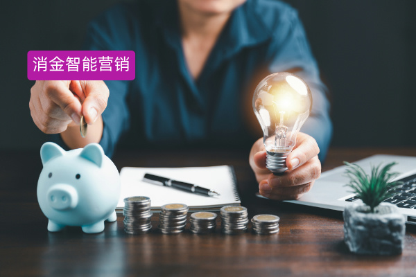 得助智能消金智能营销解决方案 解锁精准营销与高效运营的钥匙 | 得助·智能交互
