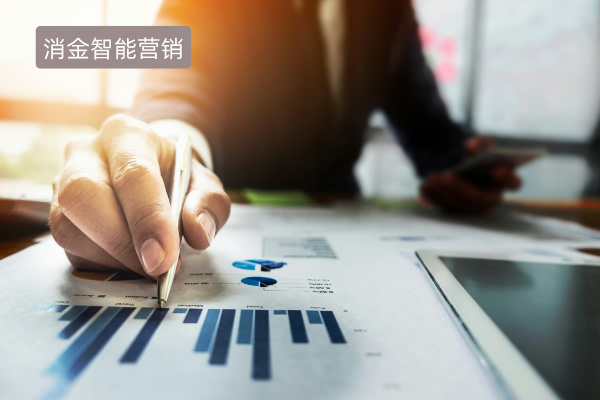 消金智能营销平台系统