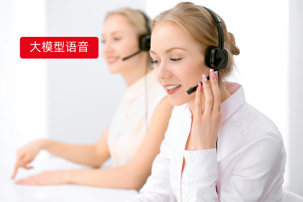 大模型语音助手：重塑零售业外呼服务新体验