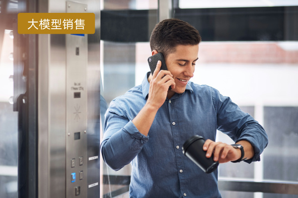 大模型销售领域