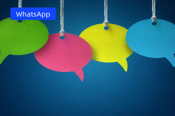 WhatsApp在线客服系统