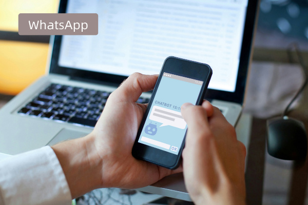 得助智能WhatsApp智能客服软件