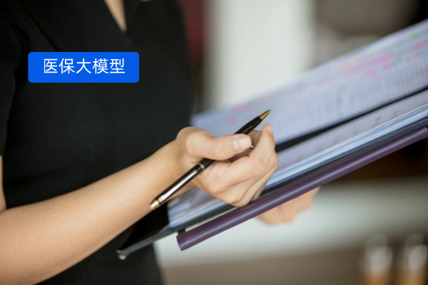 智慧医保大模型：得助智能解决方案进行医保服务革新
