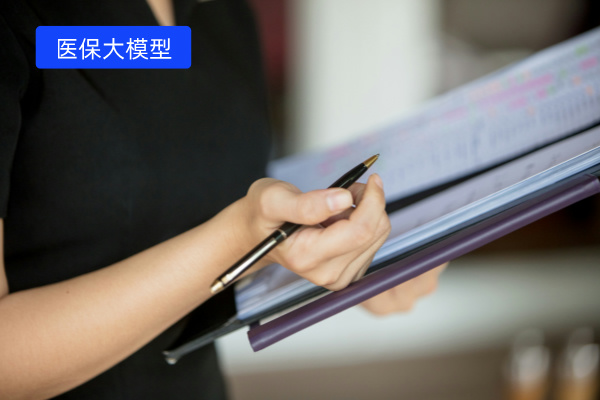 智慧医保大模型