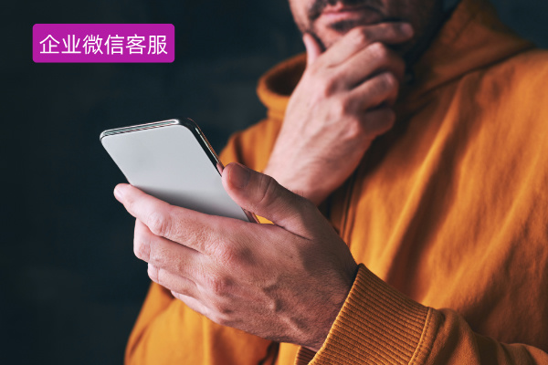 企业微信客服系统成功案例