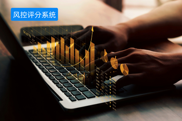 得助智能风控评分系统