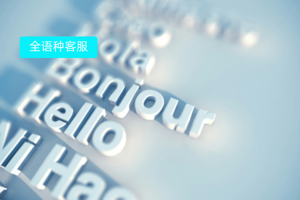 国际客服系统定义、功能作用、选择指南