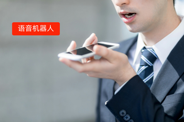 得助智能大模型语音机器人