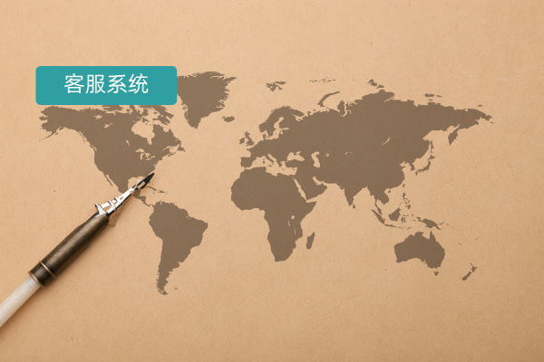 外贸独立站客服系统：教育行业的智能服务利器
