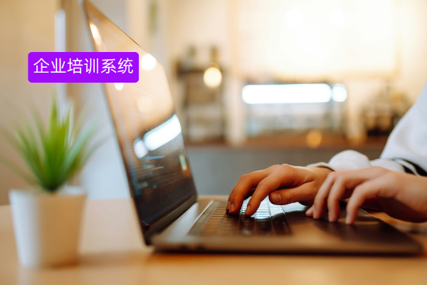 企业培训系统服务提供商