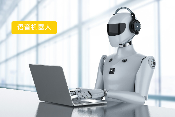 语音机器人公司