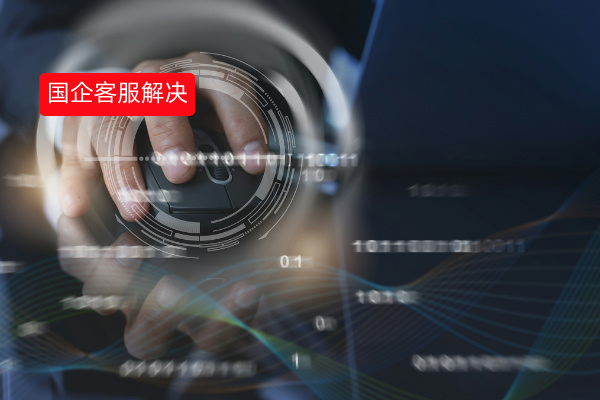 地方国有企业客服解决方案