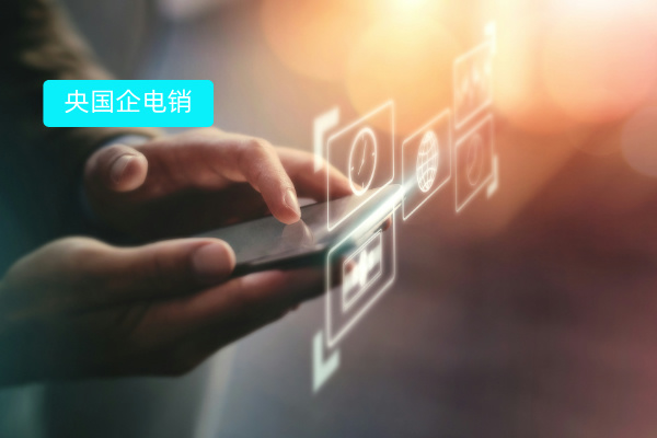 央国企电销解决方案：得助智能呼叫中心系统的实战智慧