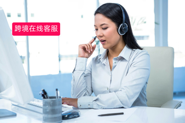 跨境商务在线客服系统案例