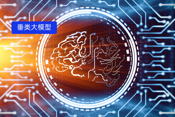 垂类大模型将要引爆行业!实际解决企业数字化升级转型的问题！