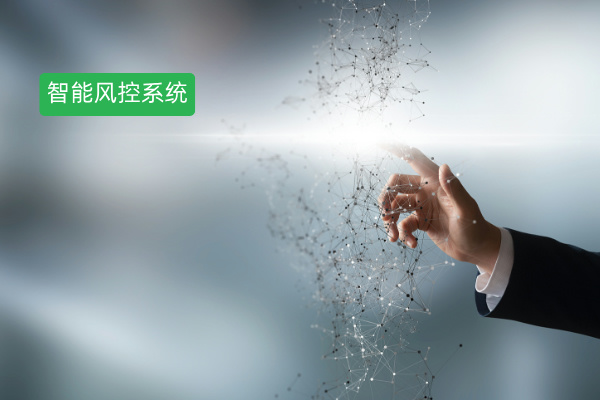 深入剖析银行风控系统：功能、作用与案例分析