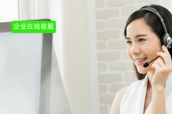 企业网站在线客服系统有哪些功能作用,效果好不好