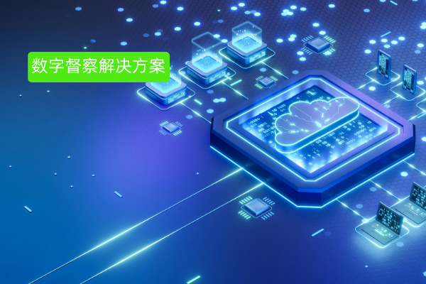 数字督察解决方案：定义、功能作用与选择指南&mdash;&mdash;企业高效管理的秘密武器