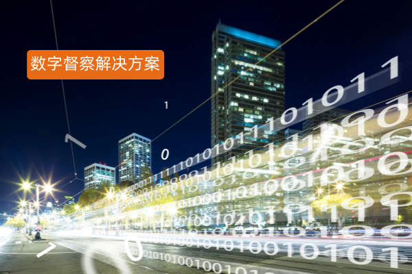 数字督察解决方案：定义、功能作用与选择指南——企业高效管理的秘密武器