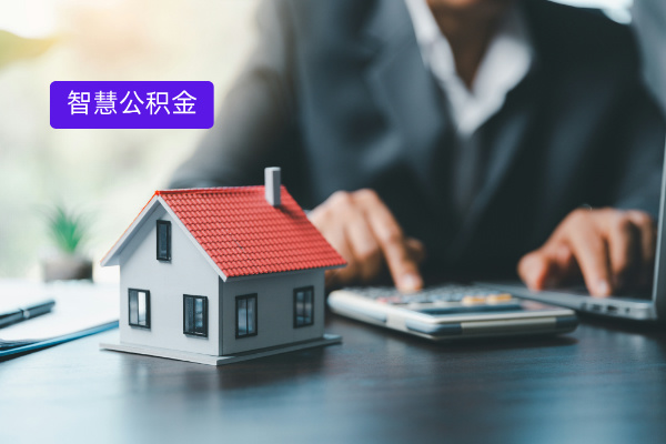 别再纠结！2025智慧公积金系统推荐品牌全揭秘​