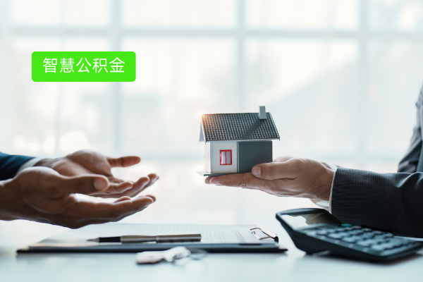 别再纠结！2025智慧公积金系统推荐品牌全揭秘​
