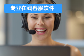 专业在线客服软件