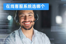 在线客服系统选哪个