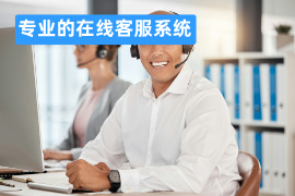专业的在线客服系统